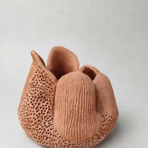Unglazed terracotta bud cluster